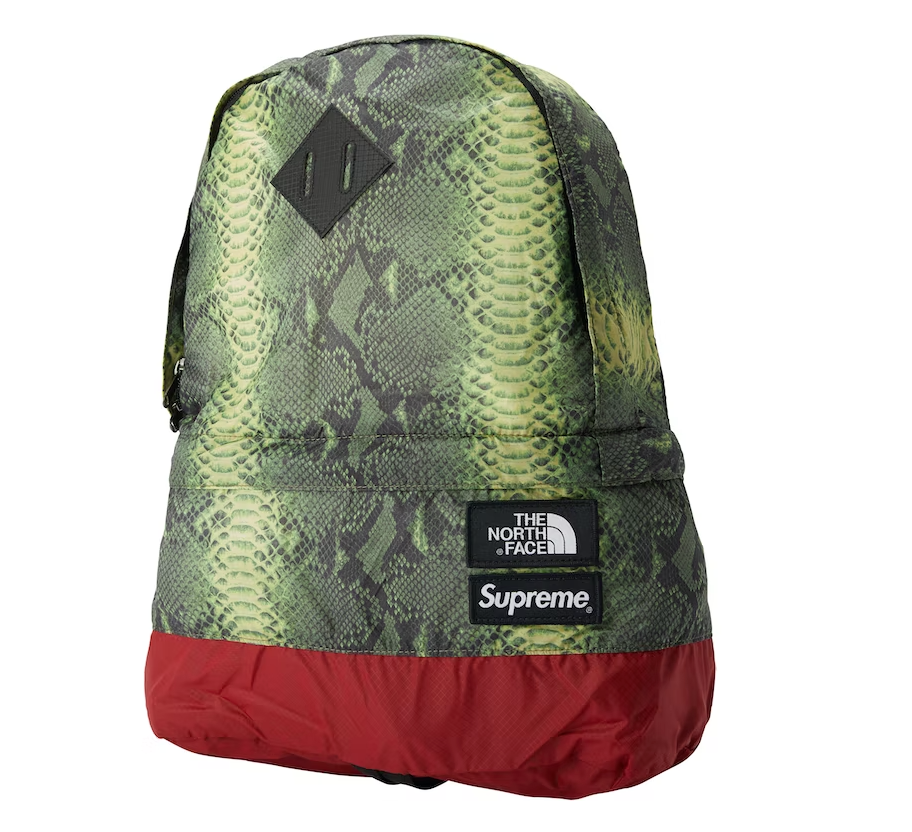 Supreme x The North Face Snakeskin Lightweight Day Pack 'Green